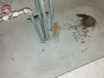 赵县卫生间测漏水价格明细